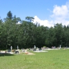 Big-meadow-2849